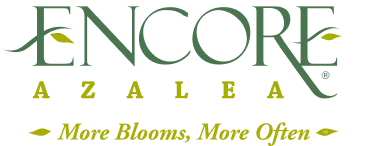 Encore Azalea Logo