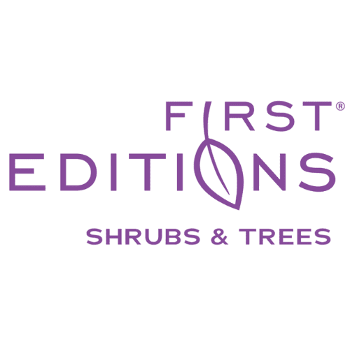 First Edition Logo