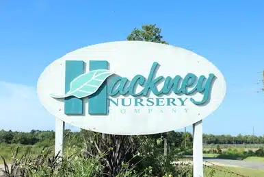 Hackney logo