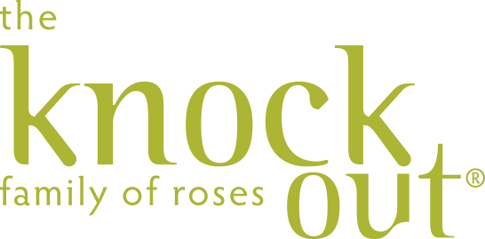 Knock Out Logo