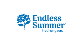 endless logo