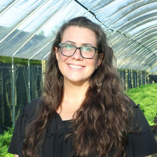 lauren torchia - Hackey Nursery - Hackey Nursery lauren torchia