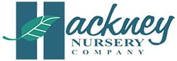 logo - Hackey Nursery - Hackey Nursery logo